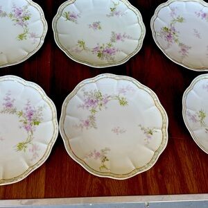 LIMOGES DISHES,  SET OF 6 PLATES